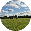 ALI Ali profile picture